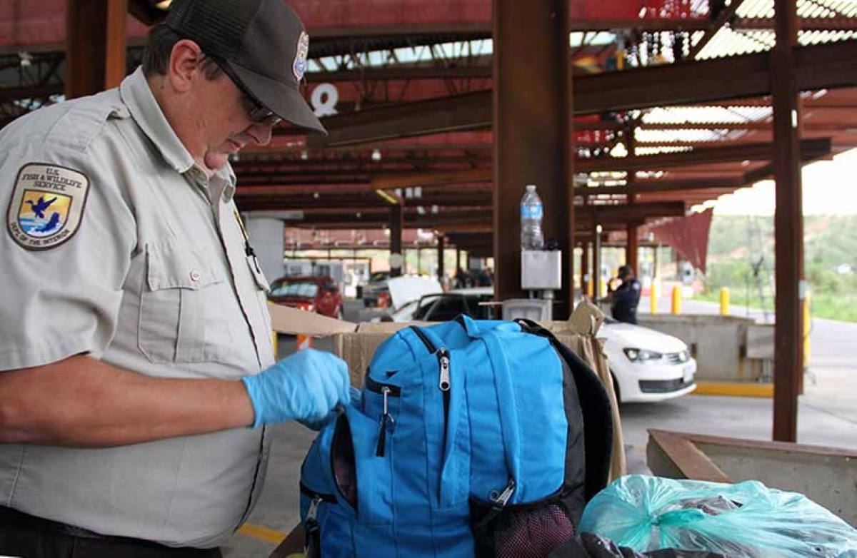 Wildlife Inspector Jeff Moore Inspects Backpack FWS gov
